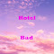 Hotel Bad