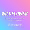 WILDFLOWER (Originally Performed by Billie Eilish) (Acoustic Guitar Karaoke)