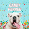 Candy Perreo (con Kazu y DJ Kelvin)