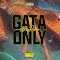 Gata Only (Radio Edit)
